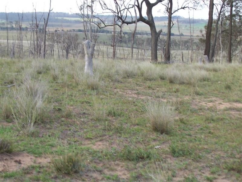 Warwick QLD 4370
