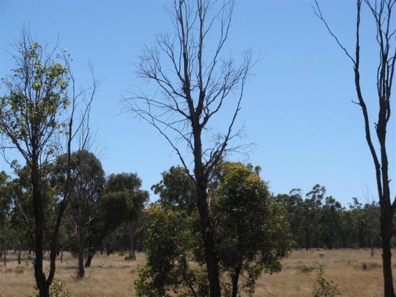 Lot 2 Reedy Creek Road, Thane QLD 4370