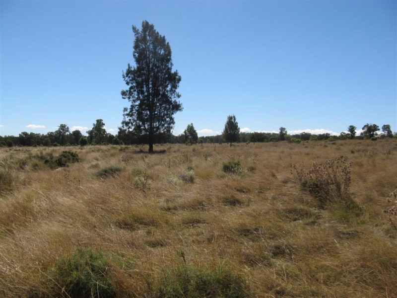 Lot 2 Reedy Creek Road, Thane QLD 4370