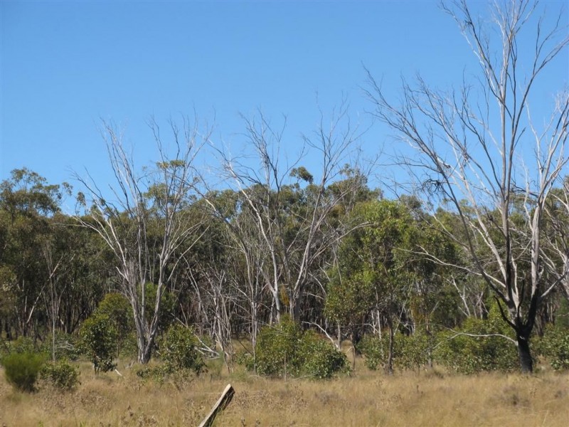 Lot 2 Reedy Creek Road, Thane QLD 4370