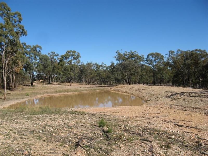 Warwick QLD 4370