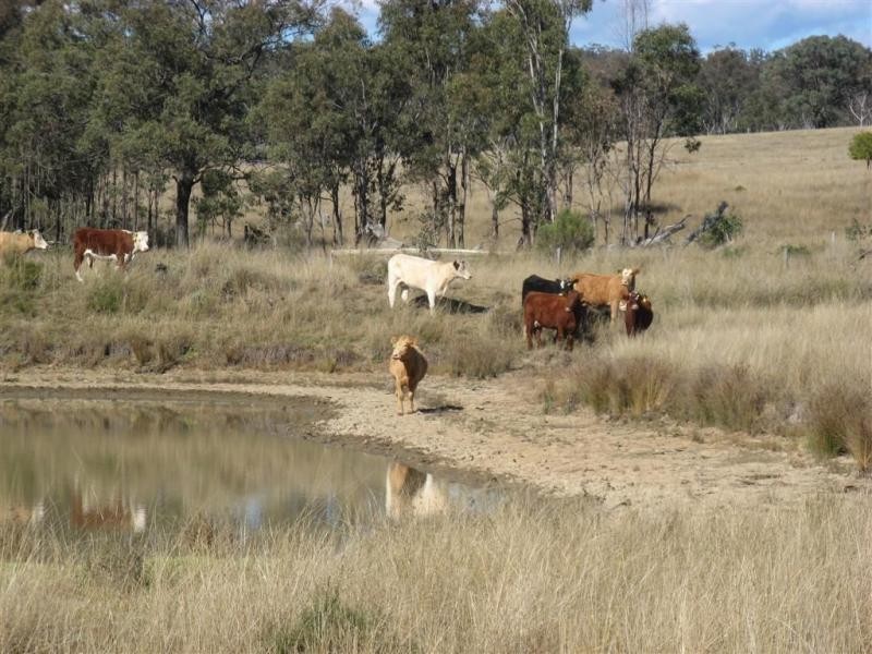 Warwick QLD 4370