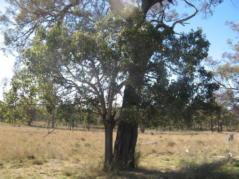 Warwick QLD 4370