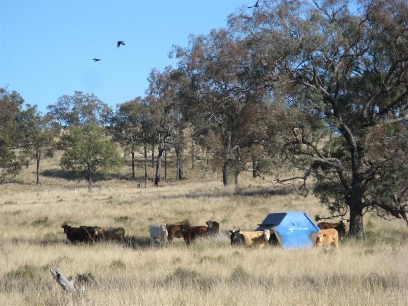 Warwick QLD 4370