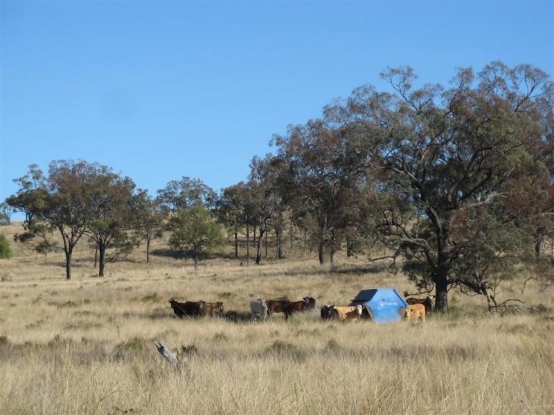 Warwick QLD 4370