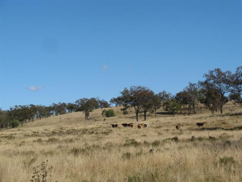 Warwick QLD 4370