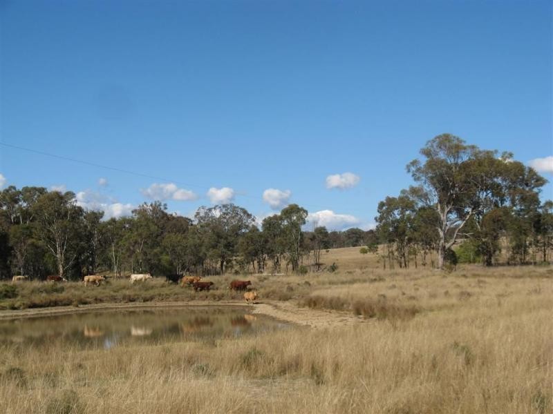Warwick QLD 4370
