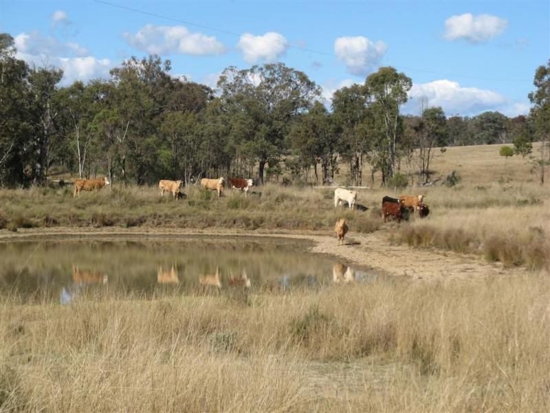 Warwick QLD 4370