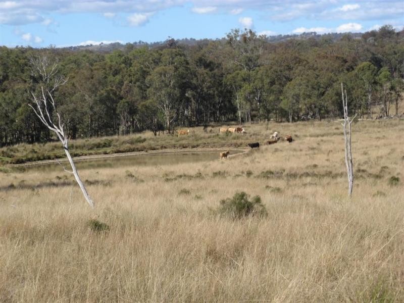 Warwick QLD 4370