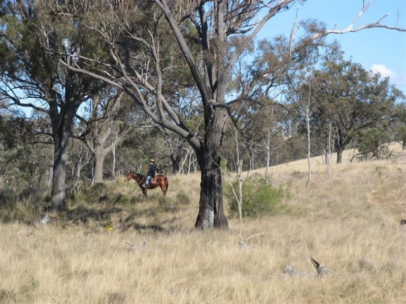 Warwick QLD 4370