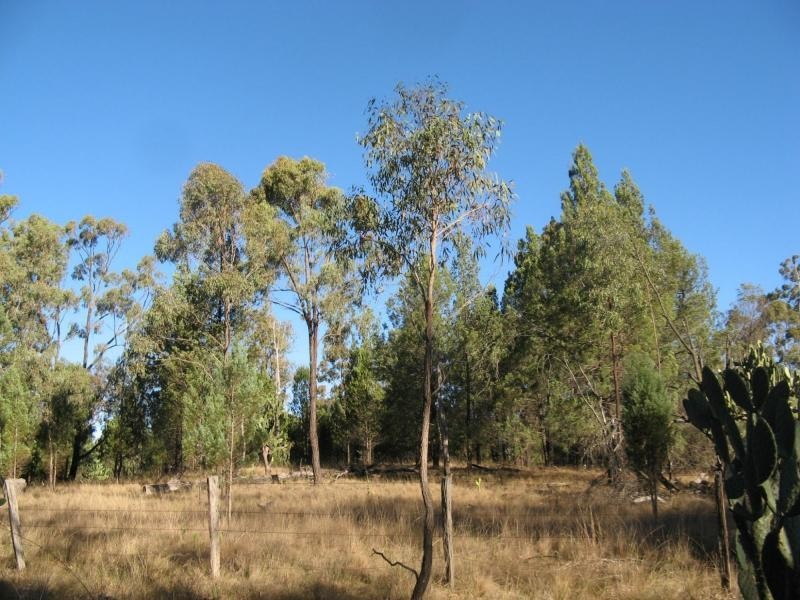 Warwick QLD 4370