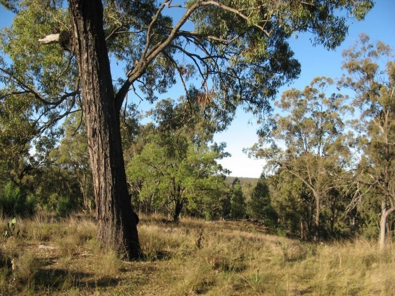 Warwick QLD 4370