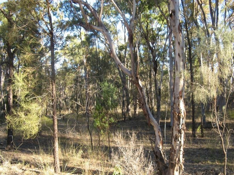 519 Stonehenge Road, Leyburn, Warwick QLD 4370