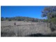 Nobby QLD 4360