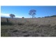 Nobby QLD 4360