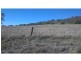 Nobby QLD 4360