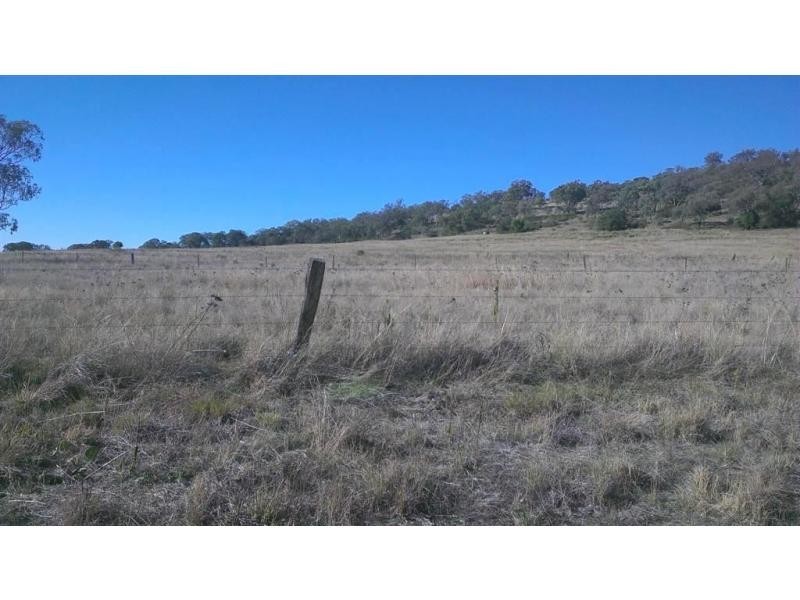 Nobby QLD 4360