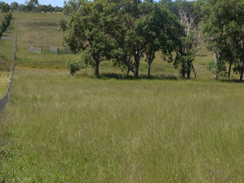 1265 Cullendore Rd, Elbow Valley QLD 4370