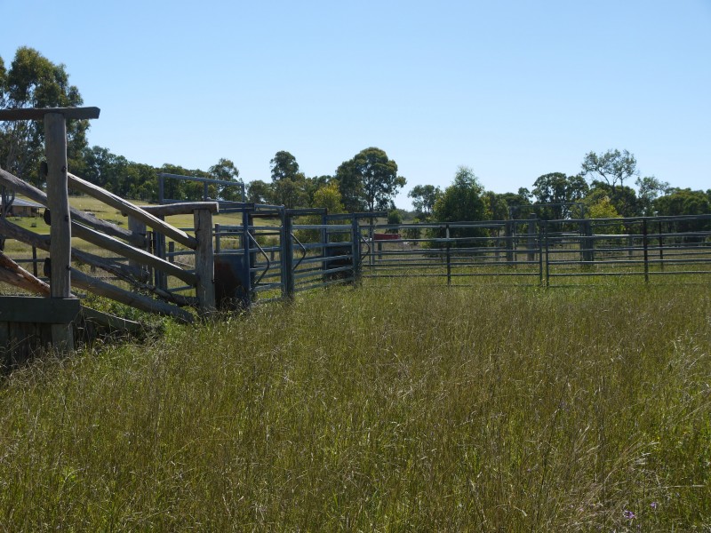 1265 Cullendore Rd, Elbow Valley QLD 4370