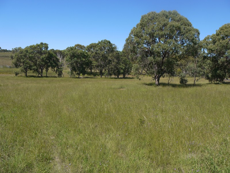 1265 Cullendore Rd, Elbow Valley QLD 4370