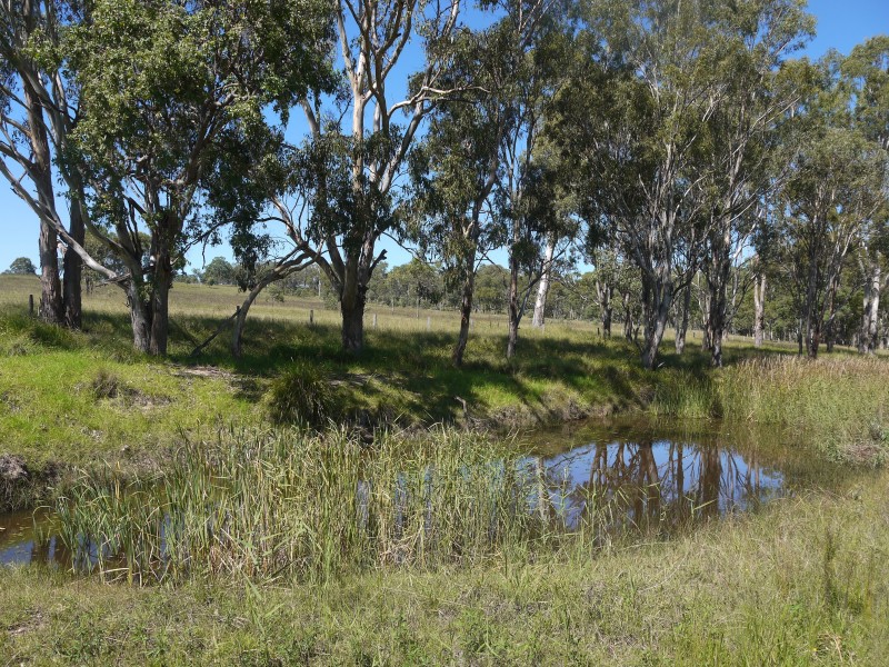1265 Cullendore Rd, Elbow Valley QLD 4370