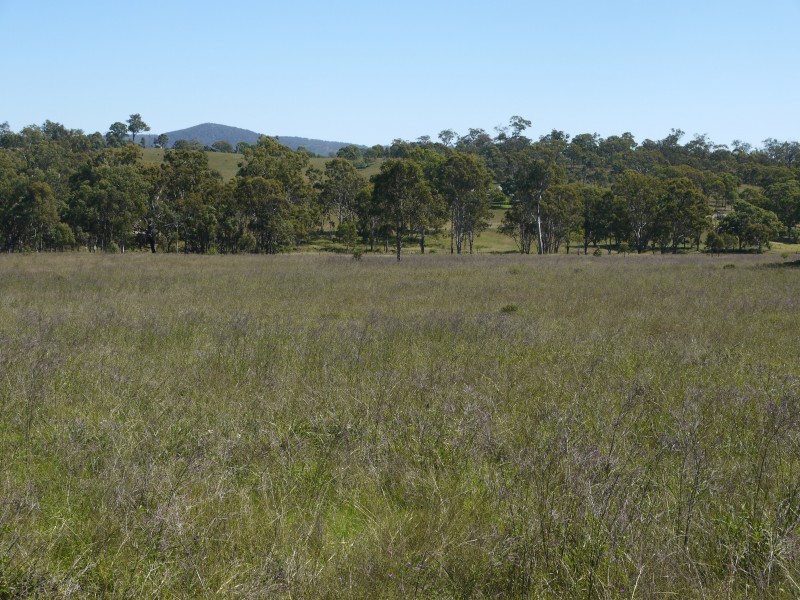 1265 Cullendore Rd, Elbow Valley QLD 4370