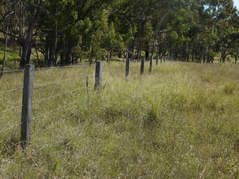 1265 Cullendore Rd, Elbow Valley QLD 4370
