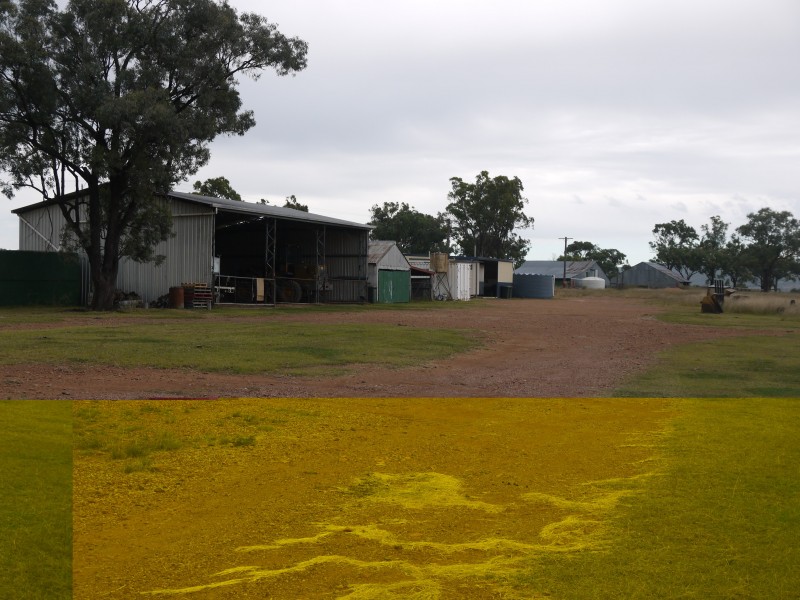 534 Uandi Rd, Warroo QLD 4387