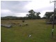 534 Uandi Rd, Warroo QLD 4387