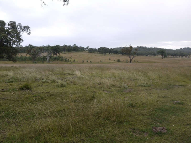 534 Uandi Rd, Warroo QLD 4387