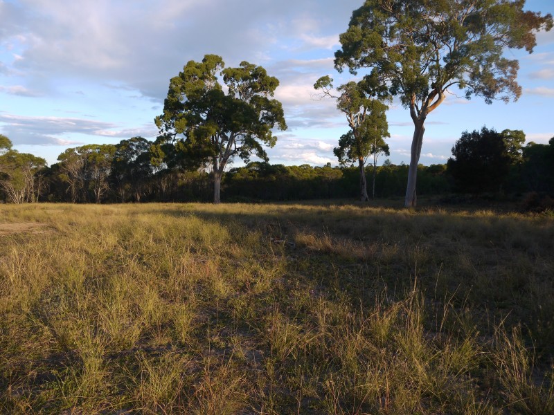 1/177 Lawlers Rd, Massie QLD 4370