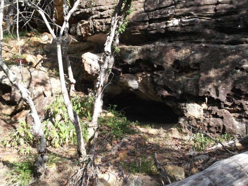 1/177 Lawlers Rd, Massie QLD 4370