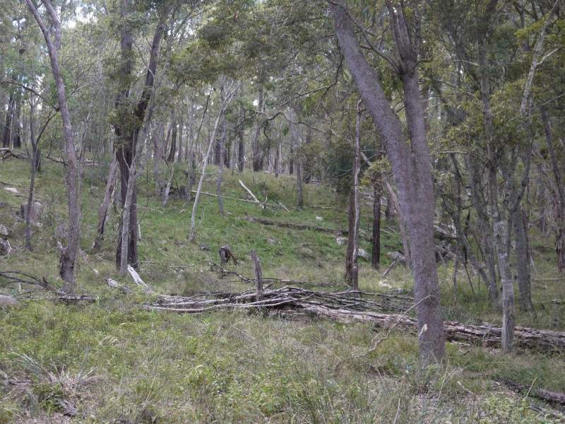 1/177 Lawlers Rd, Massie QLD 4370