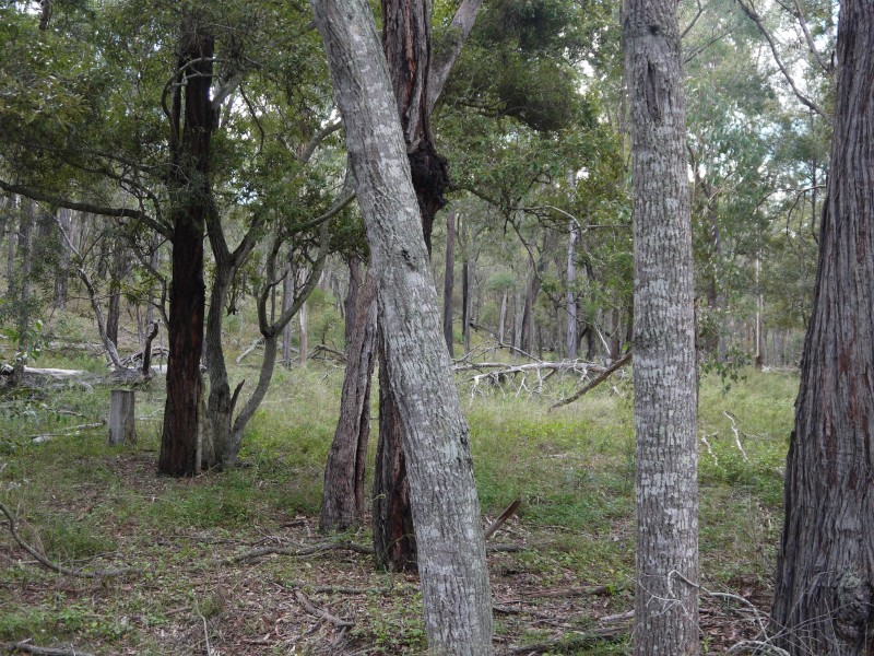 1/177 Lawlers Rd, Massie QLD 4370