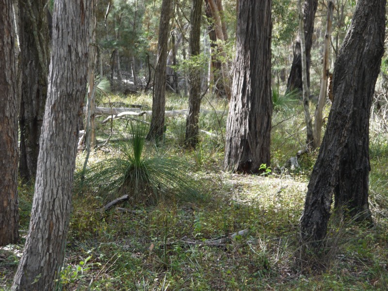 1/177 Lawlers Rd, Massie QLD 4370