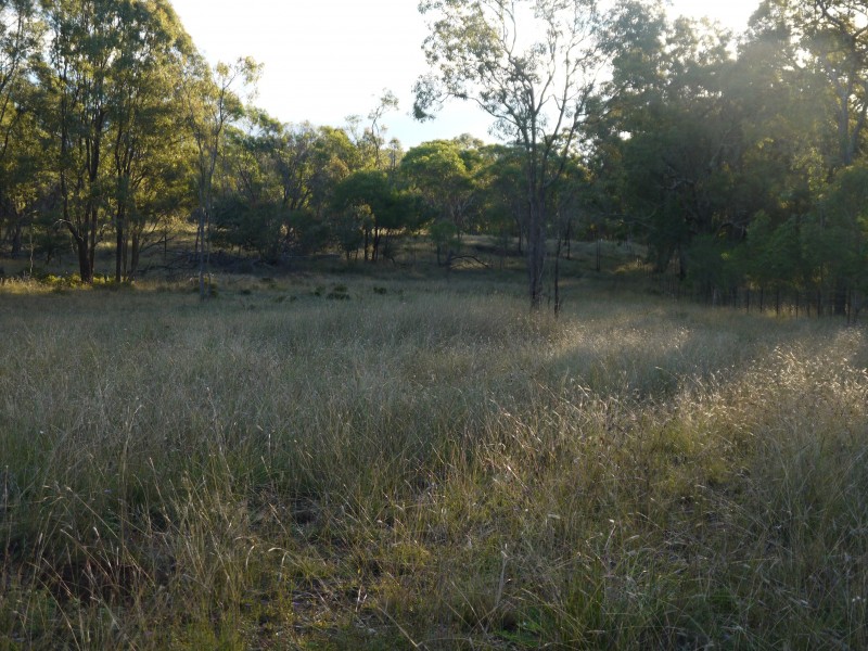 1/177 Lawlers Rd, Massie QLD 4370