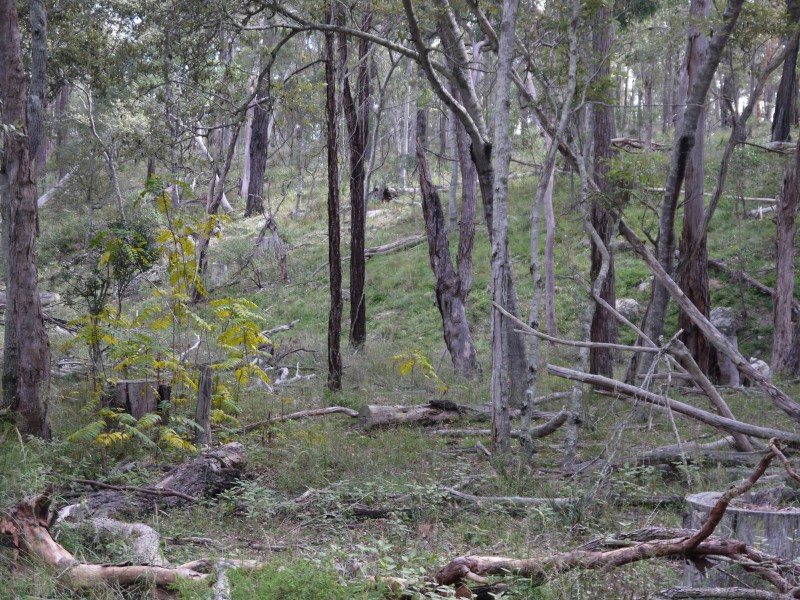 1/177 Lawlers Rd, Massie QLD 4370