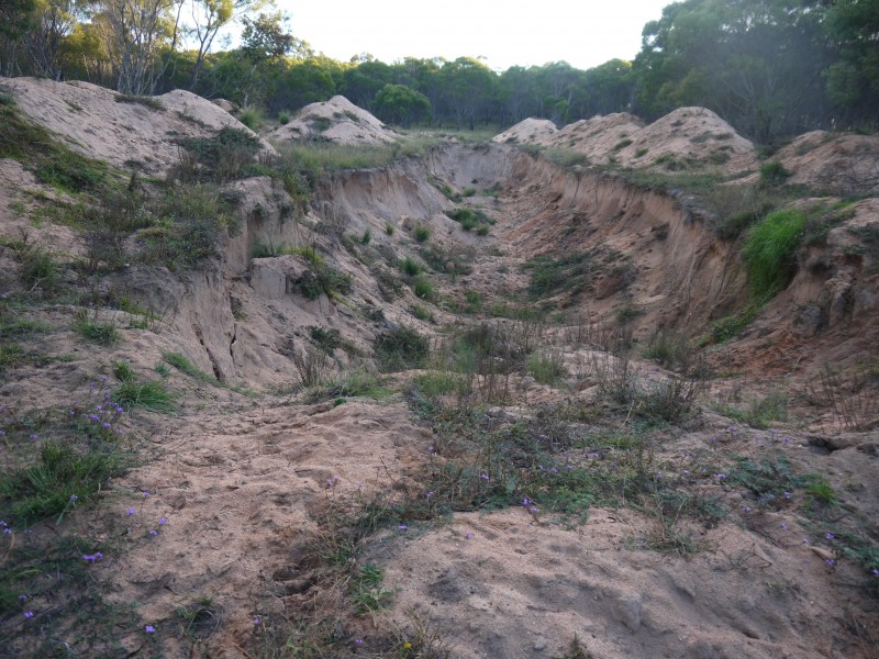 1/177 Lawlers Rd, Massie QLD 4370