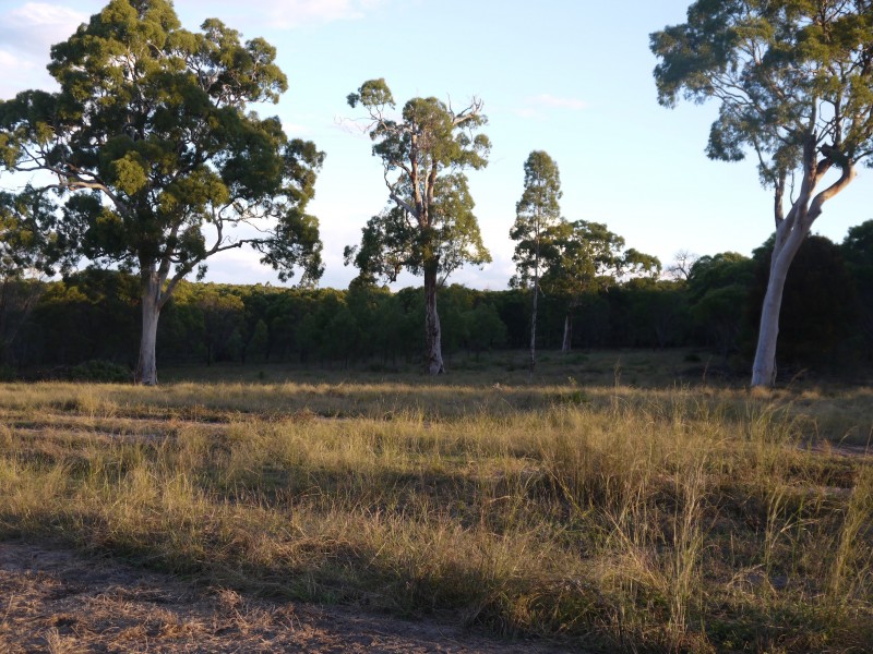 1/177 Lawlers Rd, Massie QLD 4370