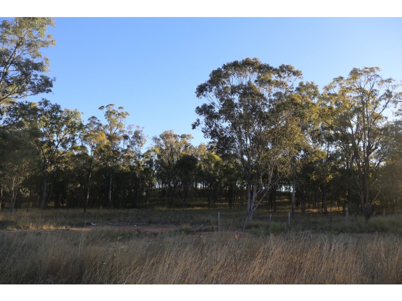 Lot 1 & 2 Thanes Creek Rd, Thane QLD 4370