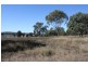 2772 Leyburn Cunningham Rd, Pratten QLD 4370