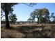 2772 Leyburn Cunningham Rd, Pratten QLD 4370