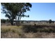 2772 Leyburn Cunningham Rd, Pratten QLD 4370