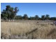 2772 Leyburn Cunningham Rd, Pratten QLD 4370