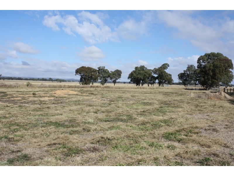 469 Cunningham Road, Cunningham QLD 4370