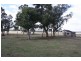 469 Cunningham Road, Cunningham QLD 4370