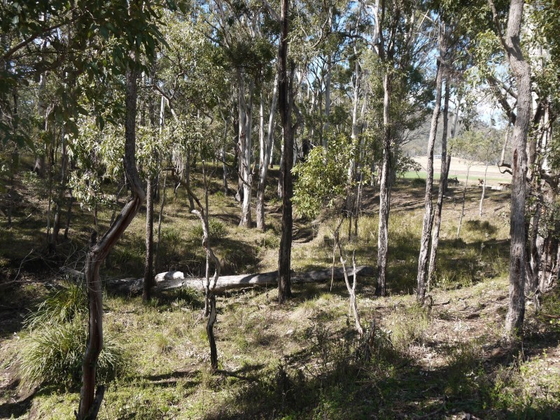 1743 Inverramsay Road, Goomburra QLD 4362