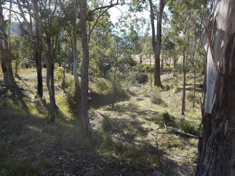 1743 Inverramsay Road, Goomburra QLD 4362