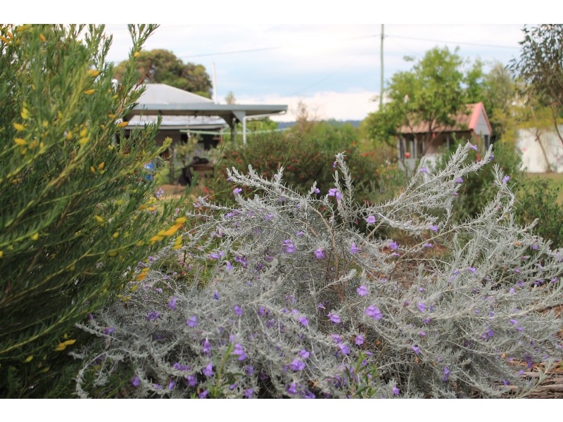 13977 Cunningham Hwy, Warwick QLD 4370