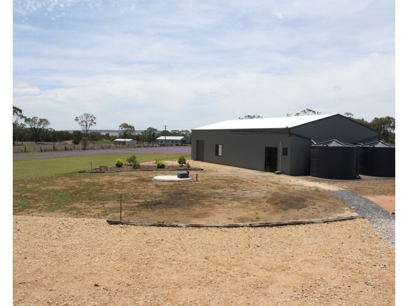 98 Goomburra St, Hendon QLD 4362